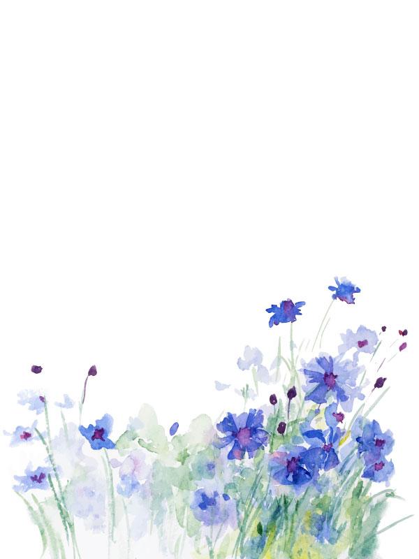 Colección Floral