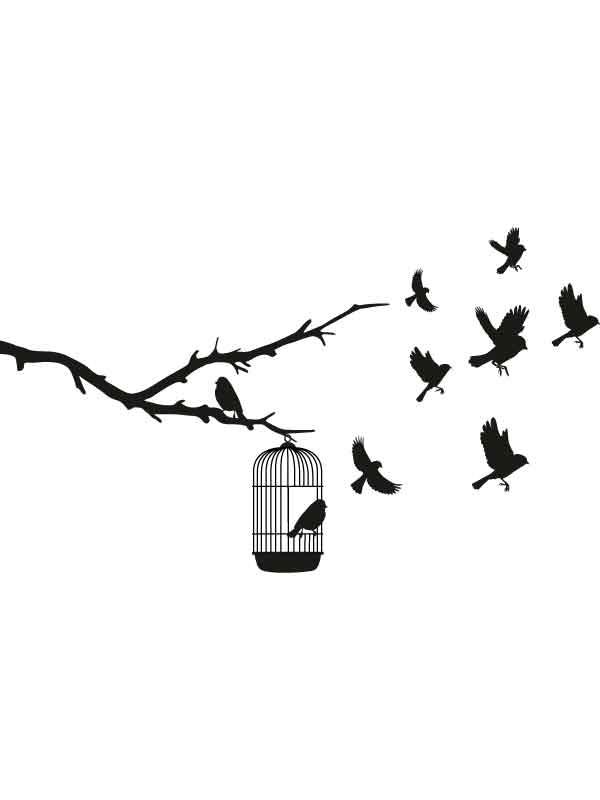 Colección Pajaros