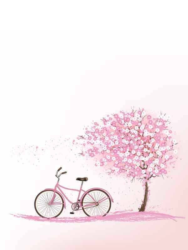 Colección Juvenil Mujer